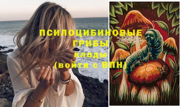 экстази Козловка