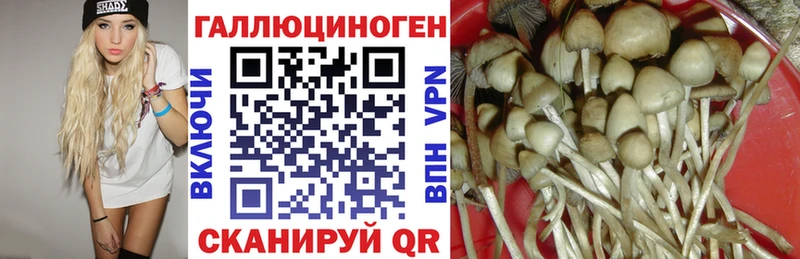 кракен зеркало  darknet Telegram  Псилоцибиновые грибы Cubensis  Котово 